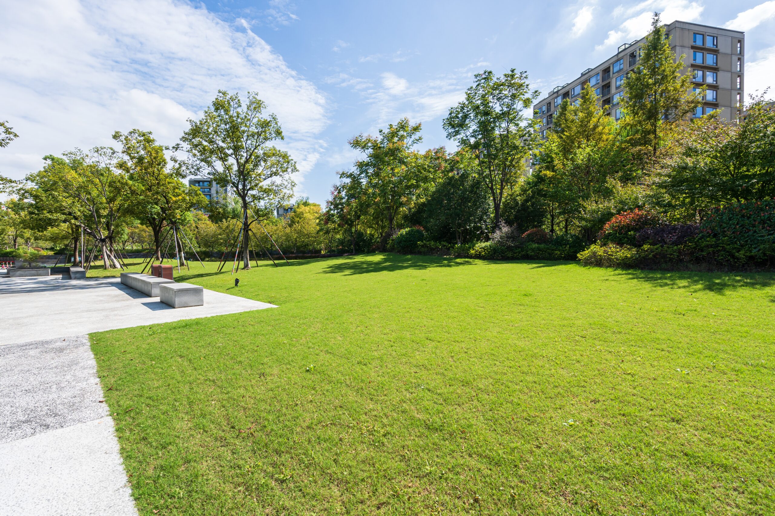 Green,Lawn,In,City,Park